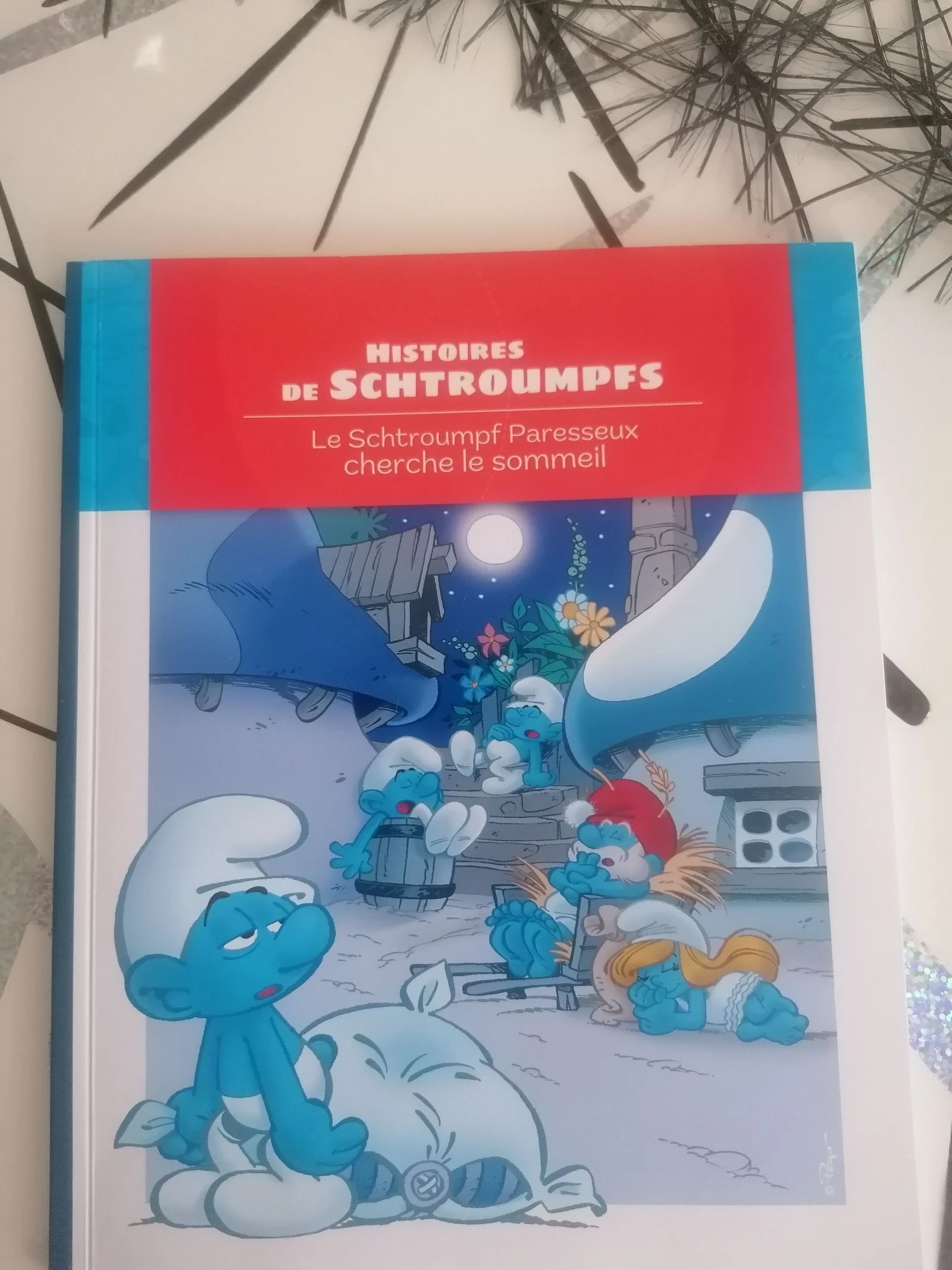 Levert de schtroumps 📘 – photo 10